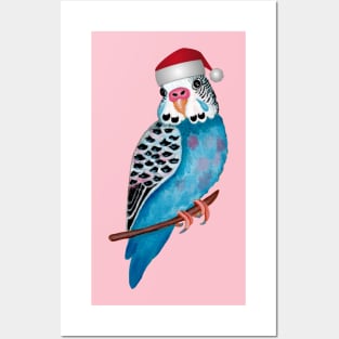 Santa Hat Christmas Budgerigar for Bird Lover Posters and Art